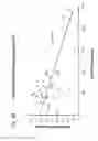 Fig. 04 - Identification of novel targets for radio sensitization using a genomic-based radiation sensitivity classifier