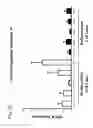Fig. 09 - Identification of novel targets for radio sensitization using a genomic-based radiation sensitivity classifier