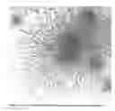 Fig. 22 - Mastitis detection