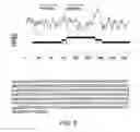 Fig. 05 - Tango 240 nucleic acids and uses thereof