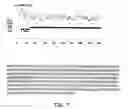 Fig. 20 - Tango 240 nucleic acids and uses thereof