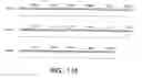 Fig. 31 - Tango 240 nucleic acids and uses thereof