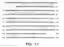 Fig. 44 - Tango 240 nucleic acids and uses thereof