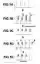 Fig. 02 - Method of removing mismatch bound polynucleotides