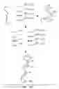 Fig. 05 - Methods and kits for hybridizing multiple probe panels to nucleic acid samples