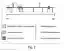 Fig. 11 - Glaucoma therapeutics and diagnostics