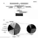 Fig. 14 - Regulated nucleic acids in pathogenesis of alzheimer's disease