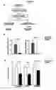 Fig. 15 - Regulated nucleic acids in pathogenesis of alzheimer's disease
