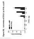 Fig. 05 - G-protein coupled receptors high-throughput functional assay