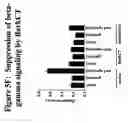 Fig. 13 - G-protein coupled receptors high-throughput functional assay