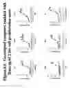 Fig. 16 - G-protein coupled receptors high-throughput functional assay