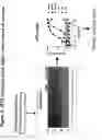 Fig. 23 - G-protein coupled receptors high-throughput functional assay