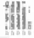 Fig. 10 - HIN-1, a tumor suppressor gene