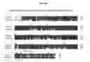 Fig. 06 - Polynucleotides encoding chimeric chemokine receptors