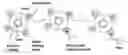 Fig. 01 - Methods and compositions relating to single reactive center reagents