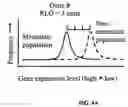 Fig. 11 - Methods and compositions for diagnosing epithelial cell cancer
