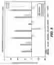 Fig. 08 - Knockout mouse for the tumor suppressor gene ANX7