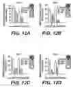 Fig. 11 - Knockout mouse for the tumor suppressor gene ANX7