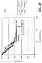 Fig. 24 - Knockout mouse for the tumor suppressor gene ANX7
