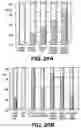 Fig. 25 - Knockout mouse for the tumor suppressor gene ANX7