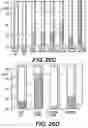 Fig. 26 - Knockout mouse for the tumor suppressor gene ANX7