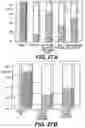 Fig. 27 - Knockout mouse for the tumor suppressor gene ANX7