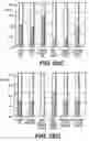 Fig. 30 - Knockout mouse for the tumor suppressor gene ANX7