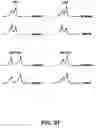 Fig. 35 - Knockout mouse for the tumor suppressor gene ANX7