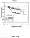 Fig. 40 - Knockout mouse for the tumor suppressor gene ANX7
