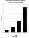 Fig. 41 - Knockout mouse for the tumor suppressor gene ANX7
