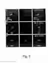 Fig. 06 - Ultrahigh resolution multi-color colocalization of single fluorescent probes