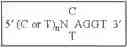 Fig. 05 - Method of genome-wide nucleic acid fingerprinting of functional regions