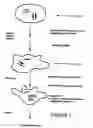Fig. 02 - Methods and compositions for overcoming resistance to biologic and chemotherapy