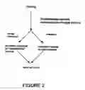 Fig. 03 - Methods and compositions for overcoming resistance to biologic and chemotherapy