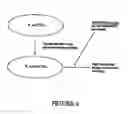 Fig. 05 - Methods and compositions for overcoming resistance to biologic and chemotherapy