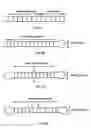 Fig. 03 - Molecular torches and their use under denaturing conditions