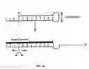 Fig. 05 - Molecular torches and their use under denaturing conditions
