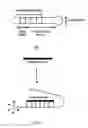 Fig. 13 - Molecular torches and their use under denaturing conditions