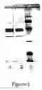 Fig. 03 - Cytochrome c oxidase enzyme complex