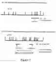 Fig. 08 - Cytochrome c oxidase enzyme complex