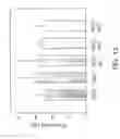 Fig. 14 - Modified fVIII having reduced immunogenicity through mutagenesis of A2 and C2 epitopes