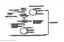 Fig. 03 - Whole cell engineering by mutagenizing a substantial portion of a starting genome combining mutations and optionally repeating