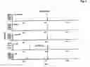 Fig. 06 - Phosphoamidase assay