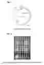 Fig. 06 - Method for producing recombinant proteins in micro-organisms