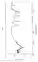Fig. 02 - Osteoclast differentiation inhibitors