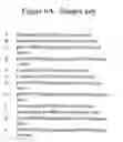 Fig. 07 - Attached cell lines