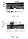 Fig. 06 - Asymmetric-area memory cell