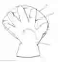 Fig. 01 - Glove structure