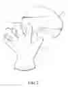 Fig. 03 - Glove structure