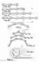 Fig. 03 - Stiffening and/or bending modular structure for sets for realising complex figures